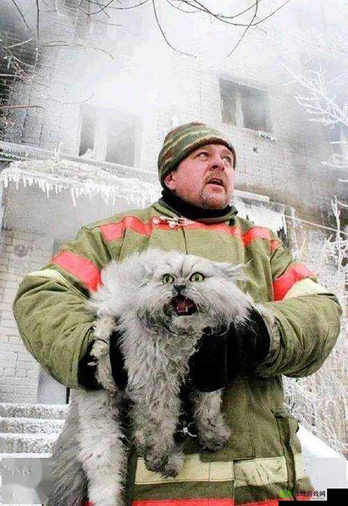 老子不能生 by 鸾枝全文免费阅读：精彩不容错过