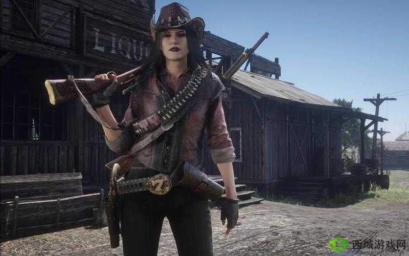 暴躁老阿姨荒野大镖客:一个女人的西部传奇