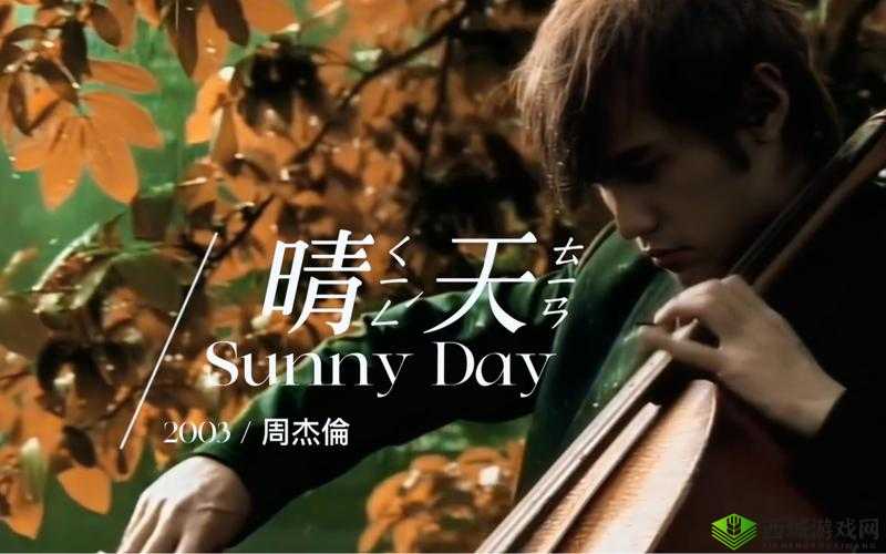 给我看免费播放的视频 MV 啦