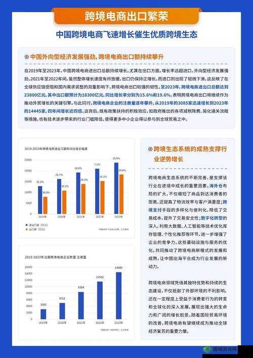 2024 amazon 欧洲站电商巨头：迎接挑战之道