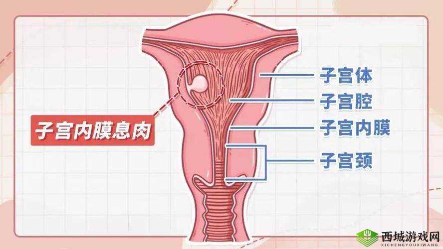 大蘑菇进入子宫的 10 个原因：异物进入、姿势不当、疾病影响等