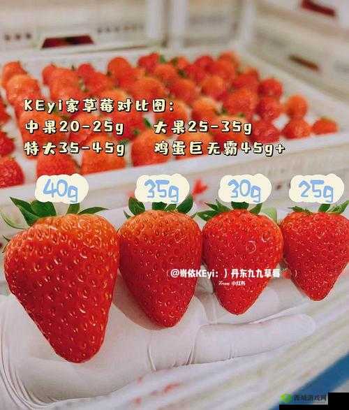 蜜丝婷大草莓与小草莓对比：有何不同