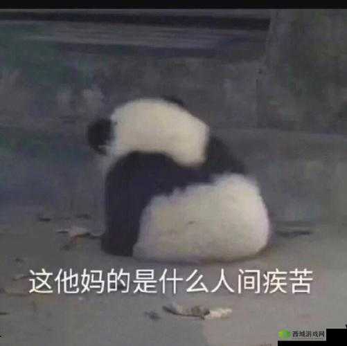 啊啊啊你tm别舔了:让人崩溃的瞬间