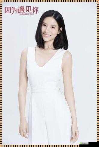 张雨欣人文艺术欣赏 PPT :领略独特魅力