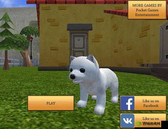 美国 ZOOM 动物 ZOOM 系列:探索奇妙动物世界