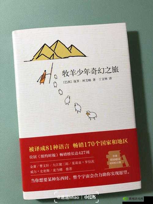 Do 才能通关小说：踏上非凡挑战之旅