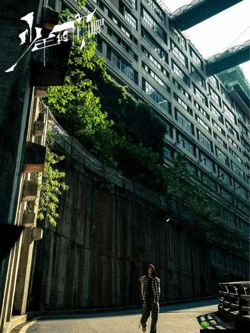 大团结秘史 6:血缘关系的隐秘探寻