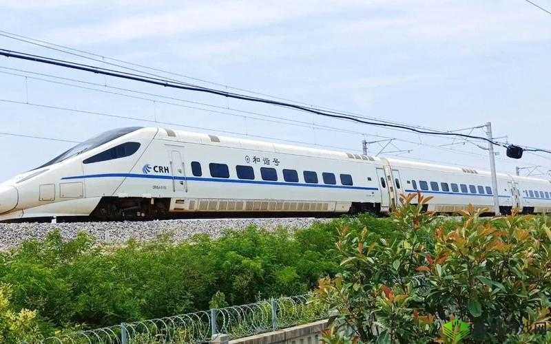 老色驴的奇妙冒险