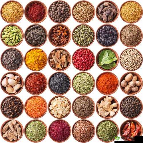 茄子丝瓜草莓香草榴莲大全：美味蔬果与香料集合