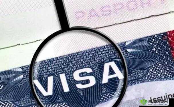 解析 JANPENSEVISA:含义与作用