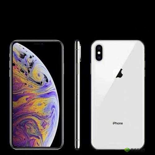 IPHONEXSMAX 日本:其在当地的影响力
