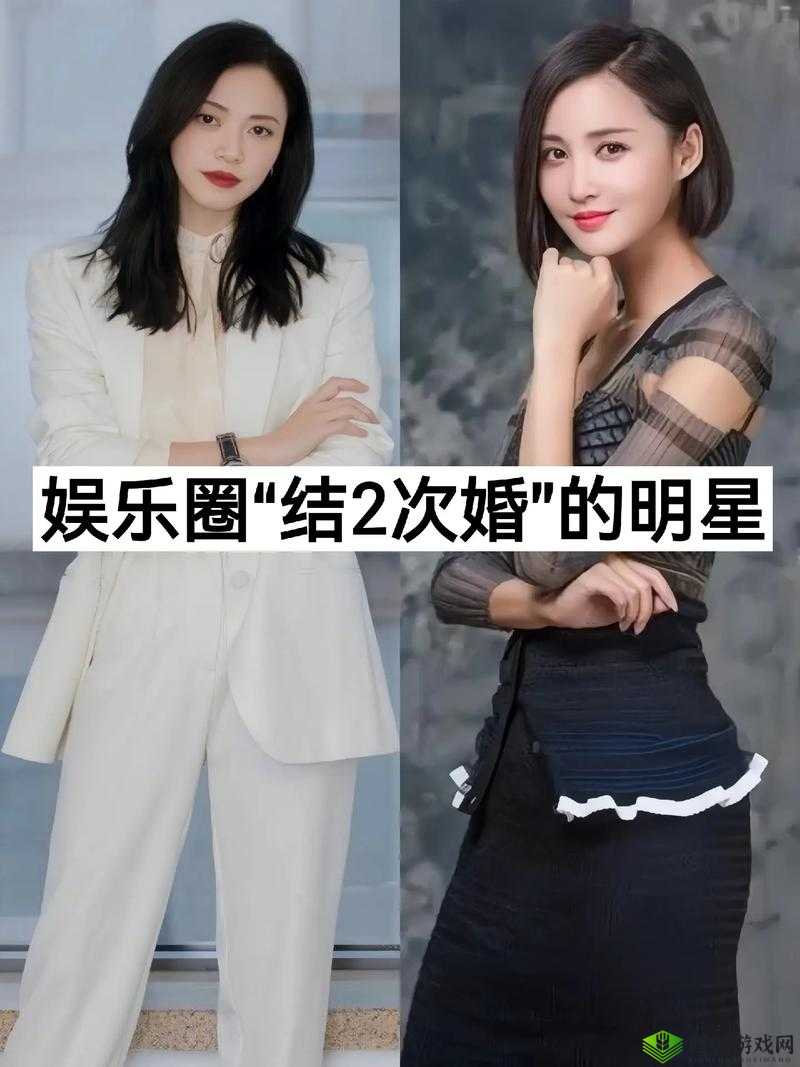 黑料专区:明星那些事儿