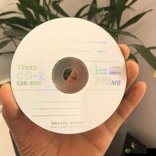 揭秘国产日产高清 DVD 碟片的真相