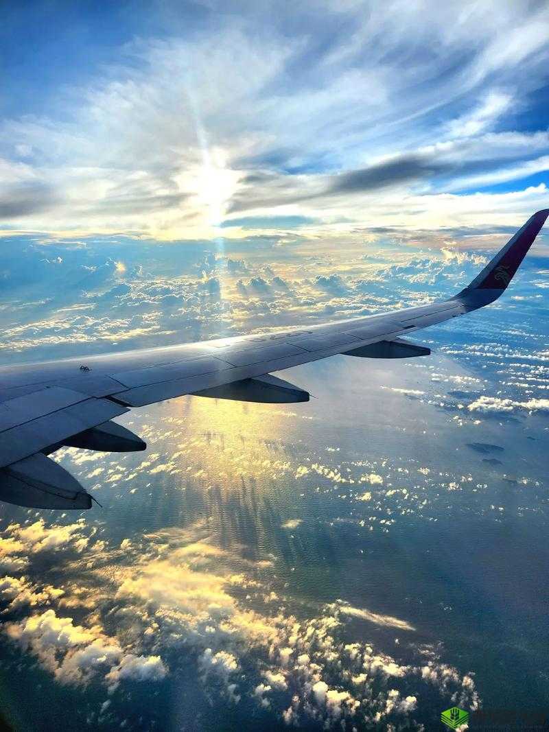 Zoom 另一类 ZZO0:独特视角下的新发现