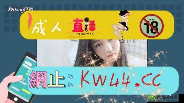 CHEAPWINDOWSVPS:优质低价的VPS服务