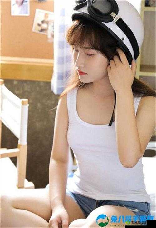 XXXXXL19D18 价格对比：谁更具优势