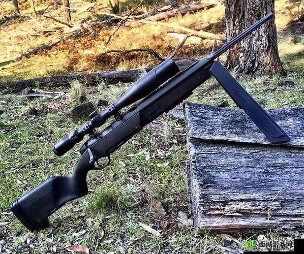 ZOOMSERVO 兽 mt7 性能卓越备受关注