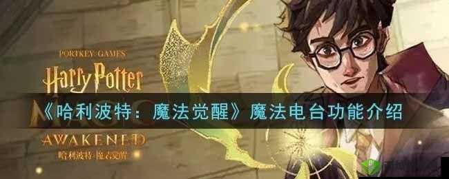 哈利波特魔法觉醒之魔法电台:使用指南与功能详解