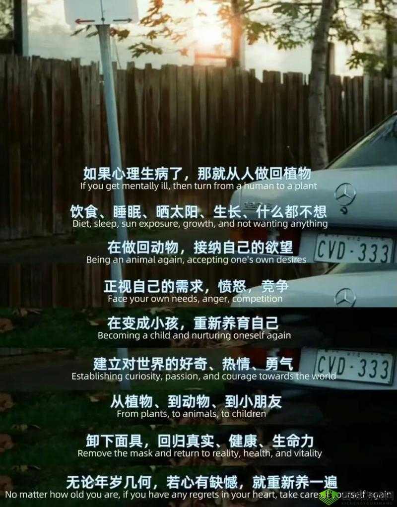 低头看我们结交处：心灵的交汇之所