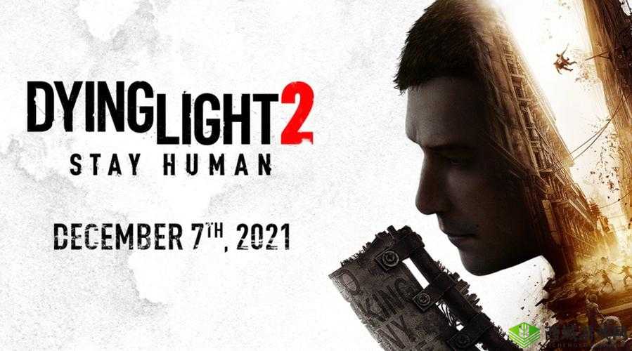 消逝的光芒2快速旅行指南:使用方法详解与攻略中心介绍