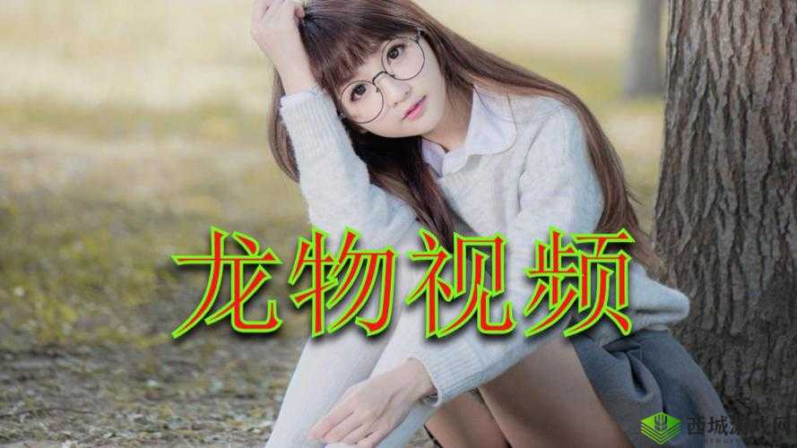 YW193 龙物:神秘而独特的存在