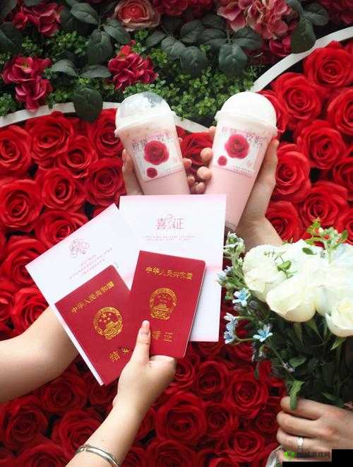 探索《字军之王3》游戏：情人挡刀成就达成秘籍与心得分享