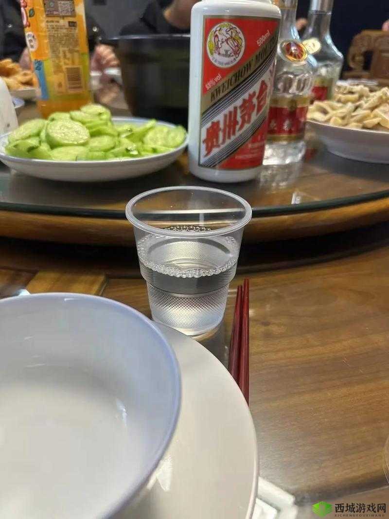 招惹 1 v1po 伴酒:一场别样的陪伴之旅