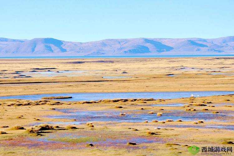 无人区编码 6229Jm 观天下事:引发众议的神秘编码