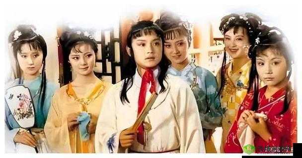 贾政宝钗情感交流之深度剖析