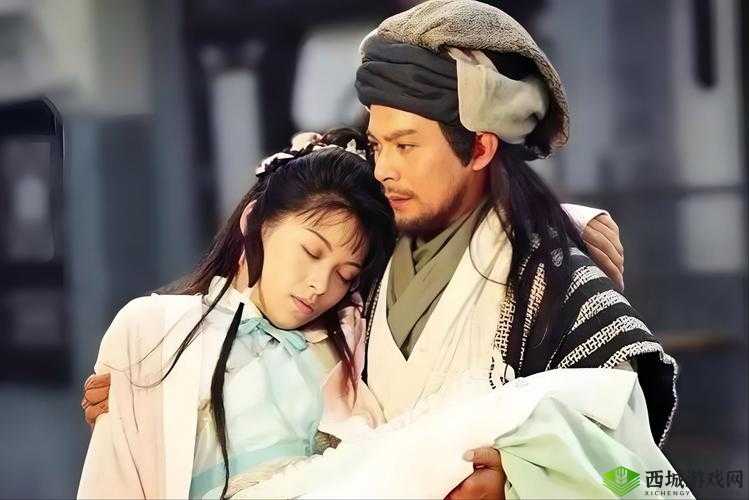 2024 海角最新回家路人生百态:探寻心灵归处