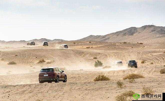 欧洲无人区码 SUV:极致探险之旅