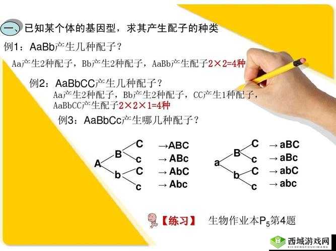 是 AAA 好还是 AABBCC:一场关于选择的思考