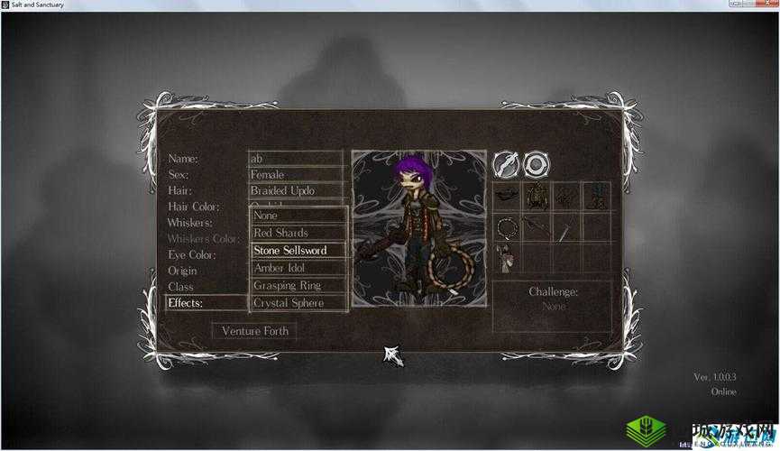 盐和避难所:本地双人联机方法解析,轻松畅享本地双人大冒险