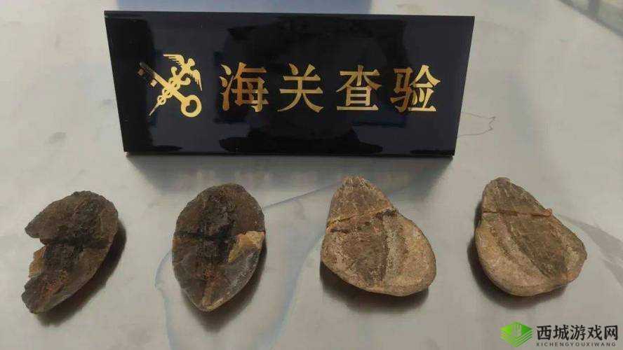 成全网站源码入口隐藏通道:神秘面纱待揭开