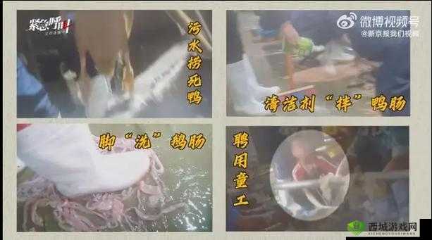 黑料专区:揭露真相,揭示黑幕