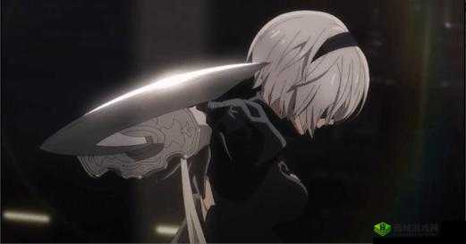 尼尔机械纪元：揭秘奖杯解锁攻略，攻略焦点聚焦在你干什么呢神秘奖杯解锁全解析