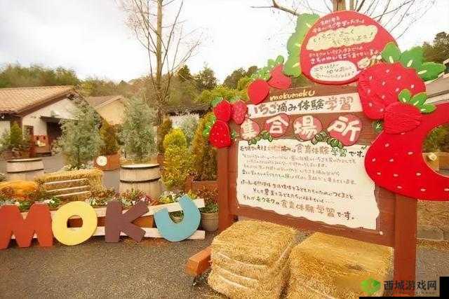 日本母亲农场特色农牧产品：优质的选择