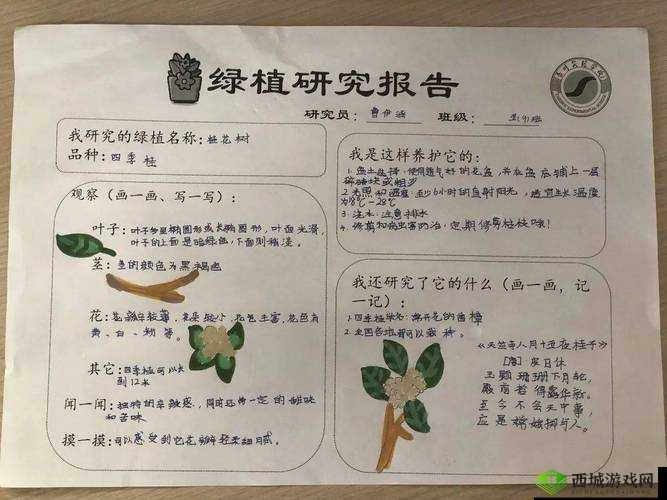 嫩草研究一二三四五六:相关内容解析