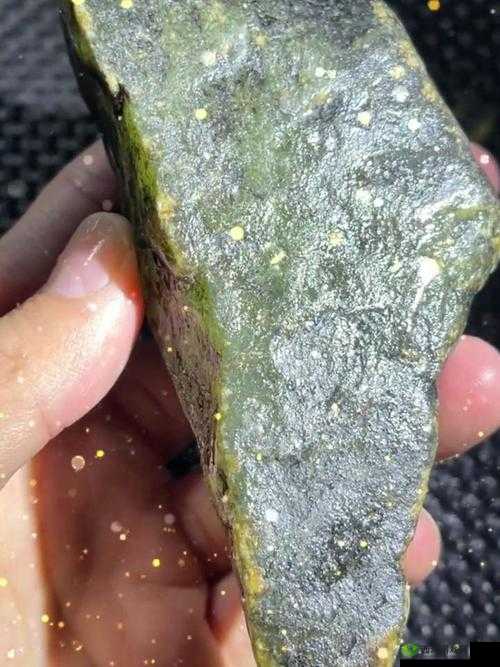 中国的女孩去到 t0lie43：开启未知之旅