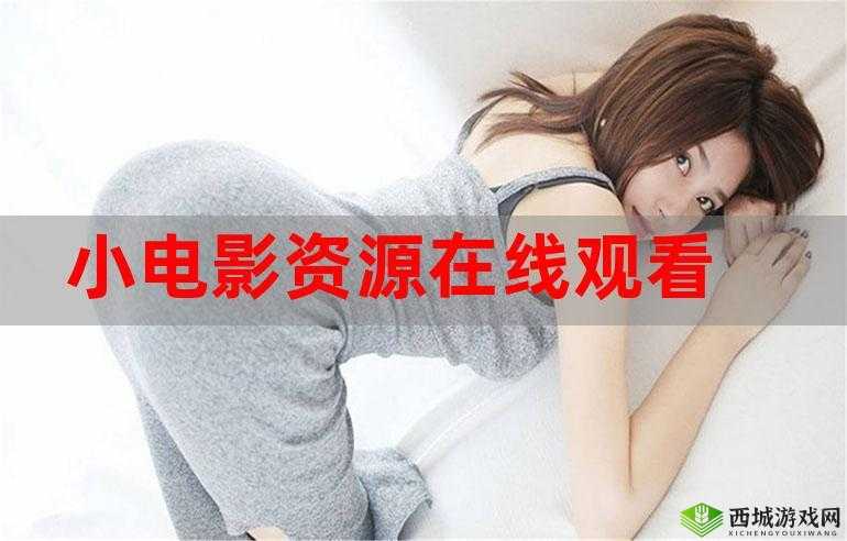 无限免费资源观看视频大全：畅享海量精彩视频