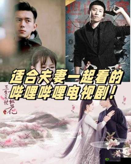 适合夫妻一起看的哔哩哔哩电视剧:温馨之选