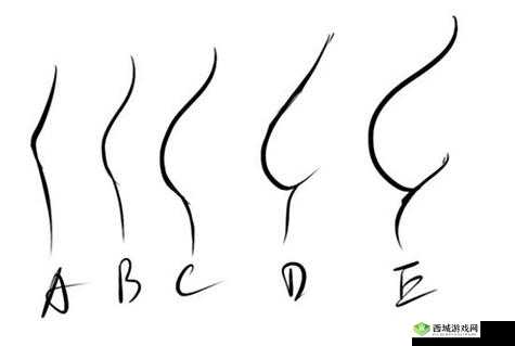 b 大与小的区别在哪里之深度剖析