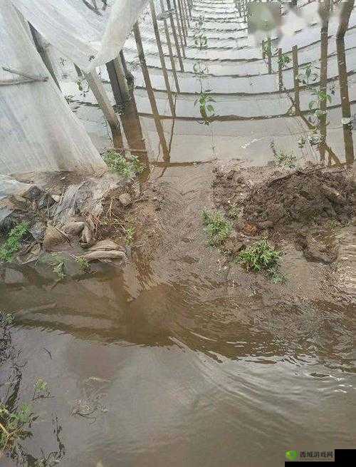 JUL532 外勤突遇大雨