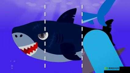 美国Zoom动物仙踪林介绍：神奇的动物世界