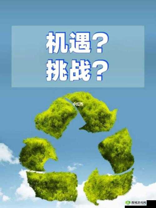 干 B 网:一个充满挑战和机遇的平台