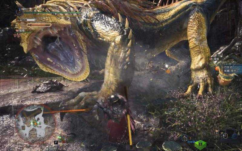 怪物猎人世界：大凶豺龙与贼龙的珍贵掉落物及任务奖励全解析