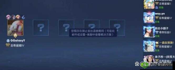 王者禁言后如何查看剩余禁言时间的详细步骤与方法