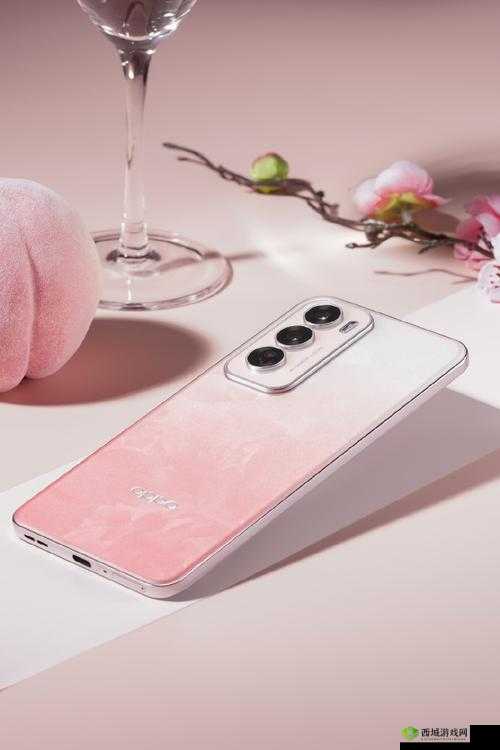 水蜜桃 12promax 高品质手机推荐