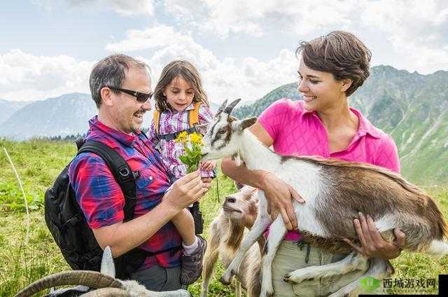 人物与动物交互:爱与陪伴的奇妙旅程