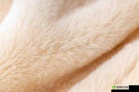 AAAA 级毛皮最火但更新太慢:亟待加速更新